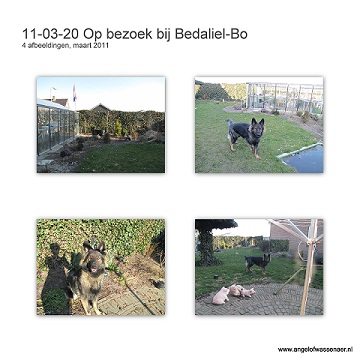Op bezoek bij Bedaliël-Bo